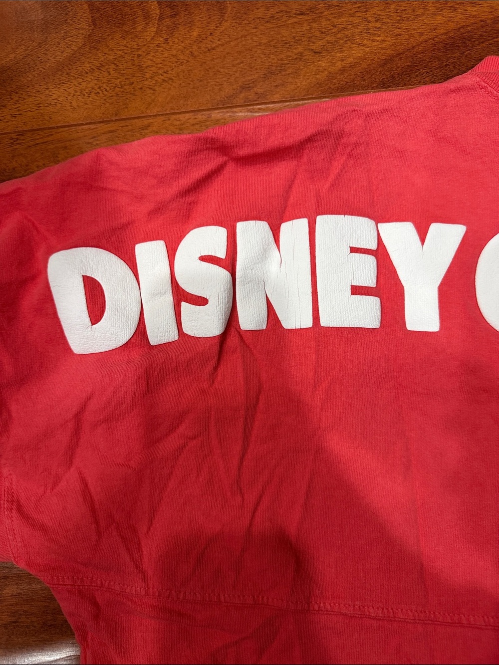 Disney Cruise Line Coral Long-Sleeve Spirit Jersey - Picture 5 of 7